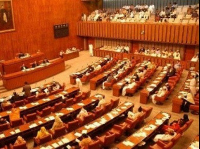 senate panel chief says govt helpless in managing economy senate panel chief says govt helpless in managing economy