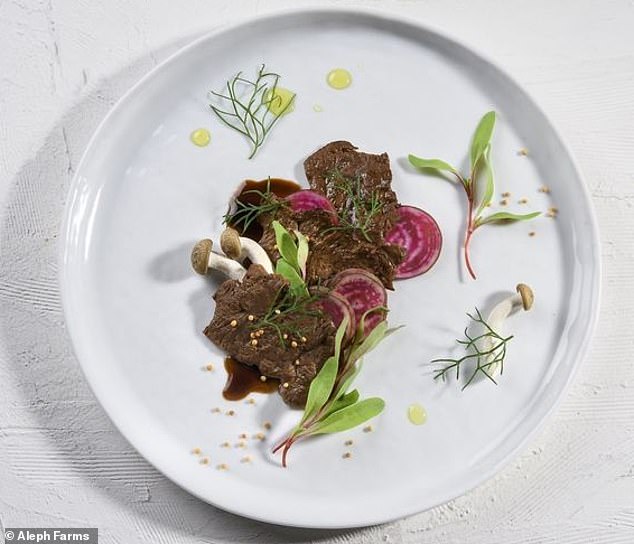 lab grown steaks the size of a credit card have been grown in a lab and eaten for the first time cell cultured meat takes samples from living animals and turns them into food using scientific methods and incubation photo courtesy dailymail