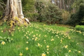 greenbelt lowering to help avert flooding