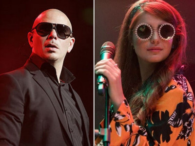 pitbull just pulled a ko ko korina and the reactions are priceless pitbull just pulled a ko ko korina and the reactions are priceless