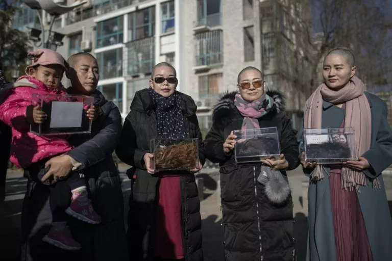 yuan shanshan left liu ermin wang qiaoling and li wenzu pose shaved their heads to protest the detention of their husbands detained during the so caled 709 crackdown photo afp yuan shanshan left liu ermin wang qiaoling and li wenzu pose shaved their heads to protest the detention of their husbands detained during the so caled 709 crackdown photo afp