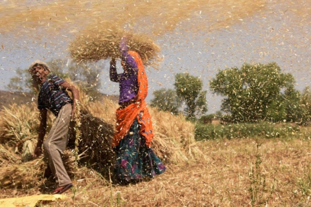 rising cultivation costs hit farmers hard says sab chief
