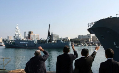 japan mulling iwc withdrawal to resume commercial whaling