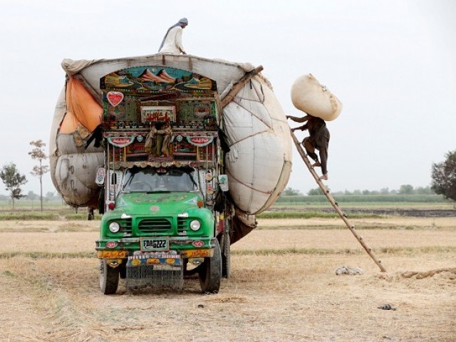 workers load straw onto a decorated truck outside faisalabad pakistan photo reuters