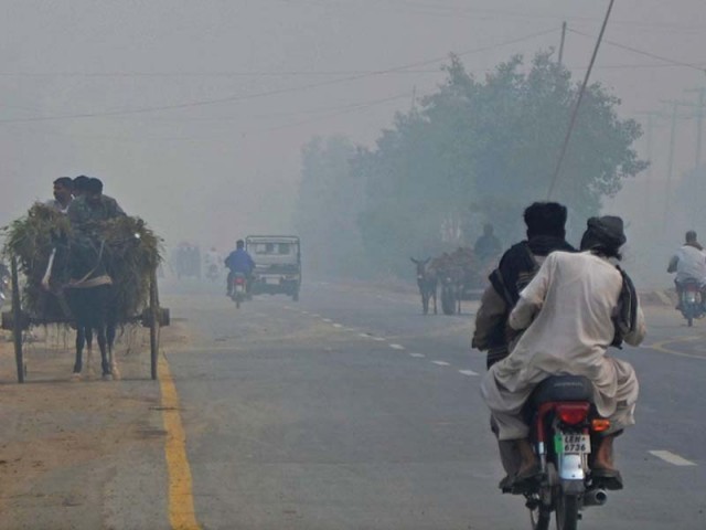 air pollution can easily dull anyone s immune system dr raza says photo file