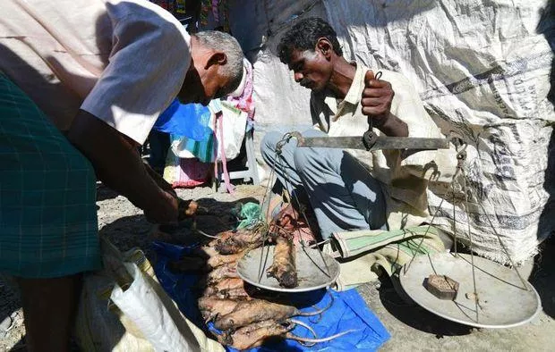 an indian tea tribe vendor sells cooked and uncooked rats at a weekly market in kumarikata village along the indo bhutan border some 90km from guwahati assam photo afp an indian tea tribe vendor sells cooked and uncooked rats at a weekly market in kumarikata village along the indo bhutan border some 90km from guwahati assam photo afp