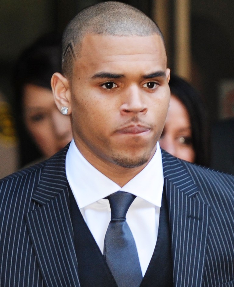 chris brown may go to jail for owning pet monkey