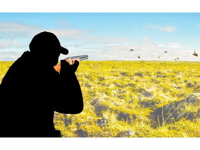 illegal hunting of migratory birds doubled in 2018