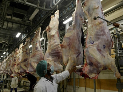 data 2018 rcb food dept sent 5 000 food samples for tests in 2018