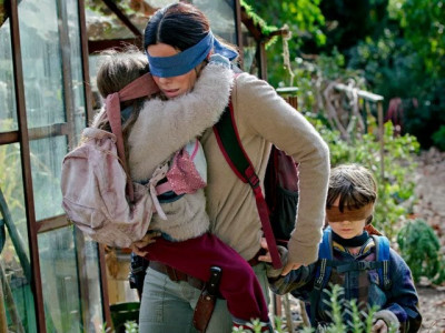 netflix publicly condemns birdboxchallenge