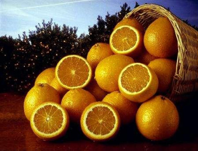kinnow exporters target two new markets this year kinnow exporters target two new markets this year
