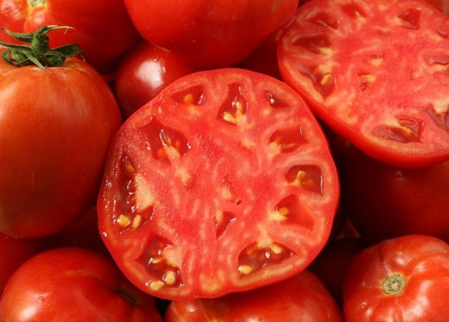 agriculture research institute developed seeds that are high yielding and disease resistant photo file agriculture research institute developed seeds that are high yielding and disease resistant photo file