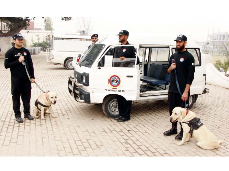 a k 9 unit and its handlers stand next to their van photo express