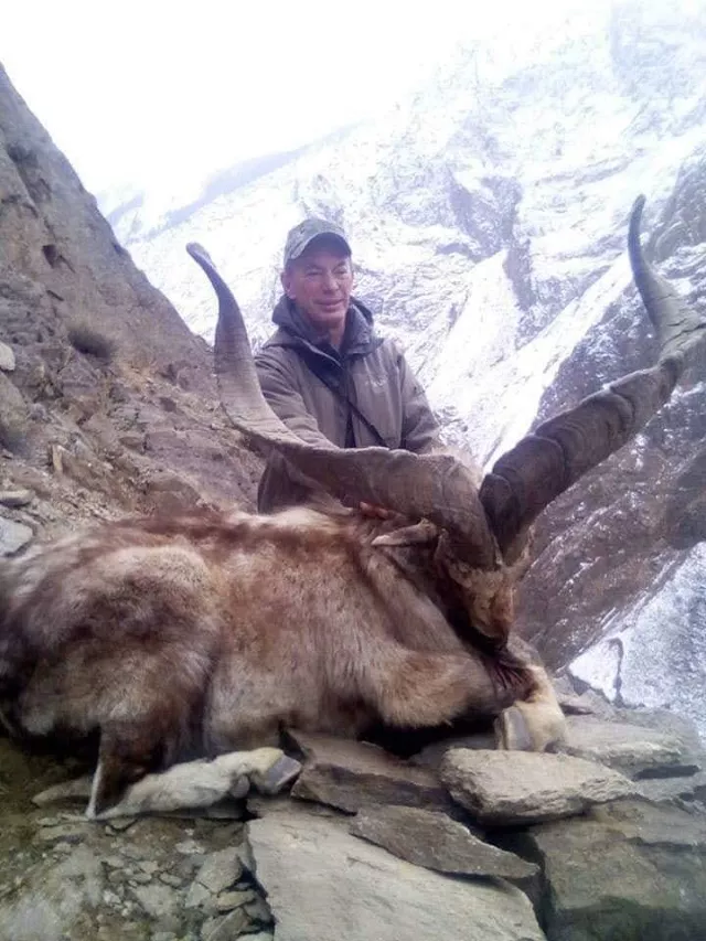 the hunt cost john amistoso 0 1 million a fee he paid to the g b government to purchase a hunting permit auction back in october photo shabbir mir the hunt cost john amistoso 0 1 million a fee he paid to the g b government to purchase a hunting permit auction back in october photo shabbir mir