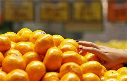 country needs better kinnow varieties to compete globally country needs better kinnow varieties to compete globally