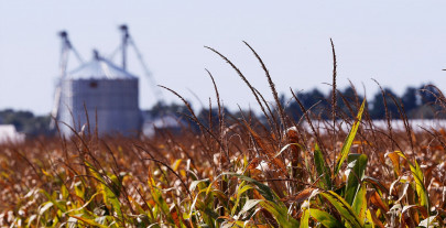farmers a neglected lot for decades farmers a neglected lot for decades