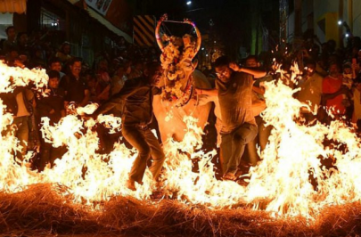 cows walk on fire in india s harvest festival