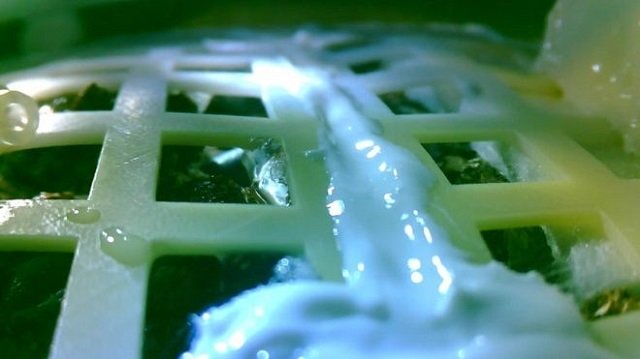 cotton sprouts seen close up under a protective cover on board the moon lander photo clep