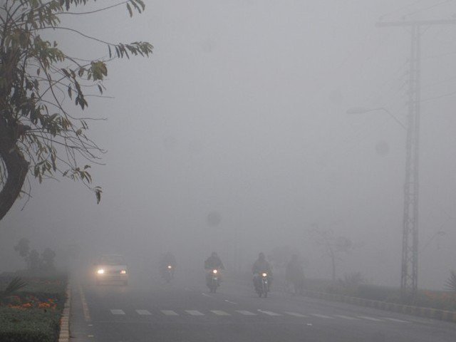 dense fog hampers traffic on motorways