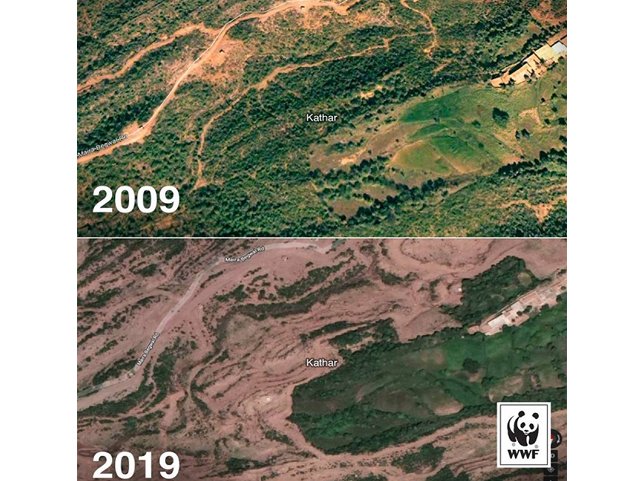 the trend started on social with users posting their current profile pictures next to one from 10 years ago this picture is from murree forest division near kathar rawalpindi photo wwf facebook