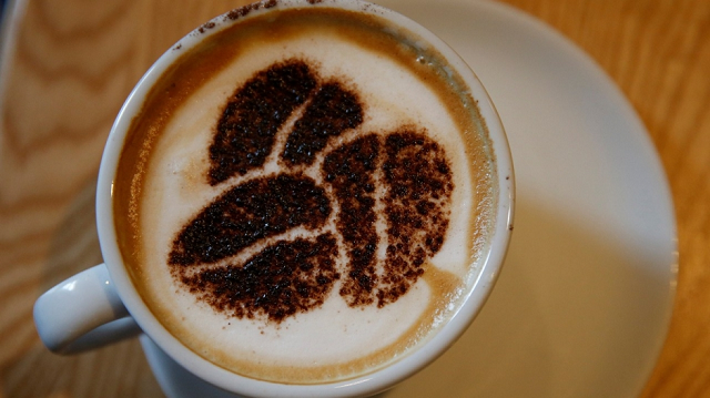 with so much deforestation going on around the world wild coffee species are being impacted at an alarming rate photo reuters with so much deforestation going on around the world wild coffee species are being impacted at an alarming rate photo reuters