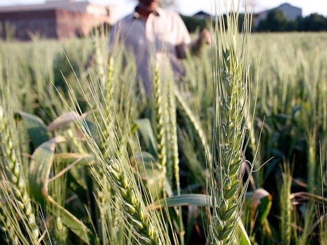 has surplus production of food commodities which may be supplied to the region photo file