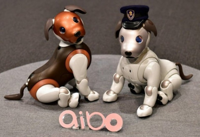 sony offers robocop dog at home sony offers robocop dog at home
