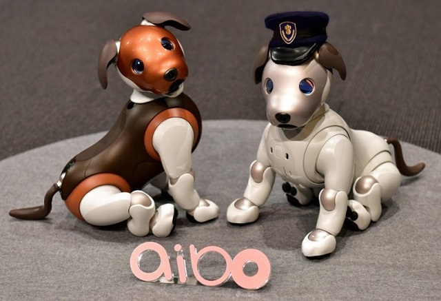 versions of sony 039 s puppy sized robot dog quot aibo quot including a 2019 limited special colour model l are displayed during a press conference at the company 039 s headquarters in tokyo on january 23 2019 photo afp