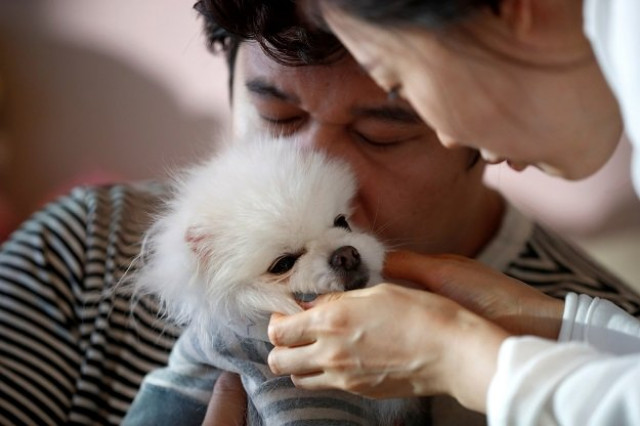 kang sung il a pet funeral manager and his wife ham jin seon play with their pet dog sancho at his home in incheon south korea january 15 2019 photo reuters kang sung il a pet funeral manager and his wife ham jin seon play with their pet dog sancho at his home in incheon south korea january 15 2019 photo reuters