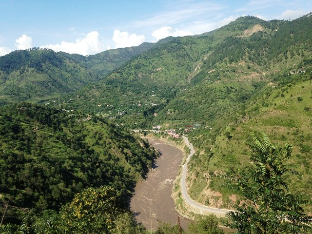 recent rains breath life into mustard crops in k p