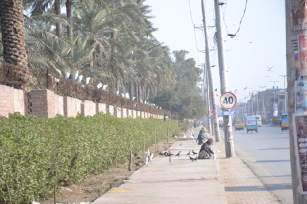 charity meat seller sits by the roadside selling meat scraps to passers by photo express