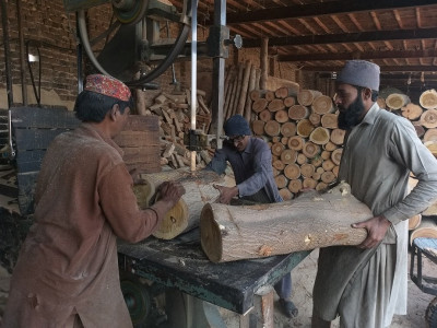 facing neglect darya khan s slumping timber mandi facing neglect darya khan s slumping timber mandi