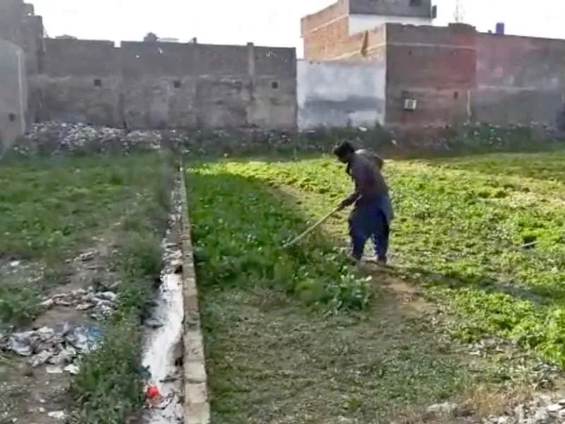 a vegetable field uprooted for being irrigated with contaminated nullah leh water photo express a vegetable field uprooted for being irrigated with contaminated nullah leh water photo express