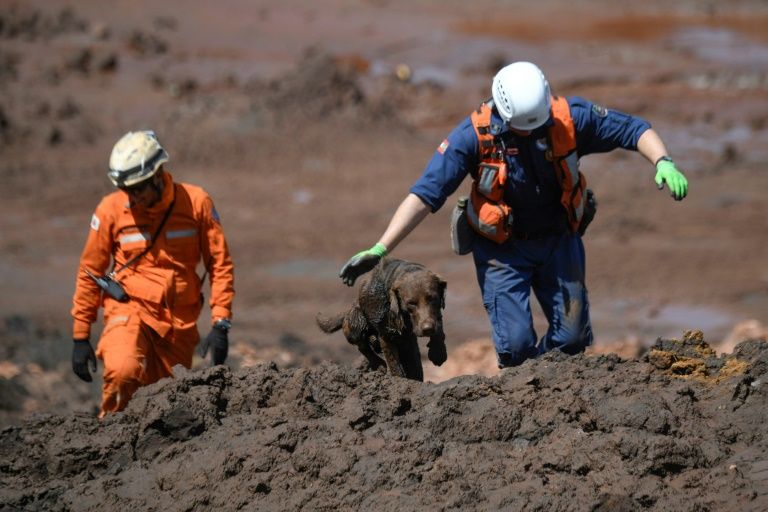 a rescue dog and firefighters search for victims of a dam collapse at an iron ore mine belonging to brazil 039 s giant mining company vale near the town of brumadinho minas gerais state photo afp