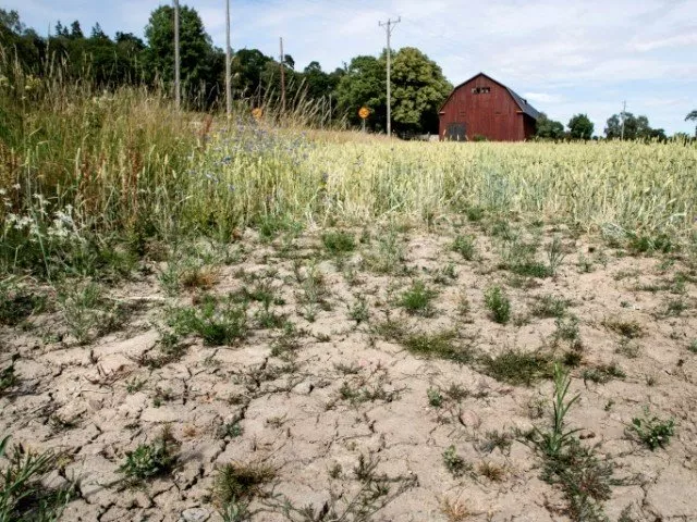 cultivating cash crops modifying seeds and fodder reducing salinity are the objectives photo file cultivating cash crops modifying seeds and fodder reducing salinity are the objectives photo file