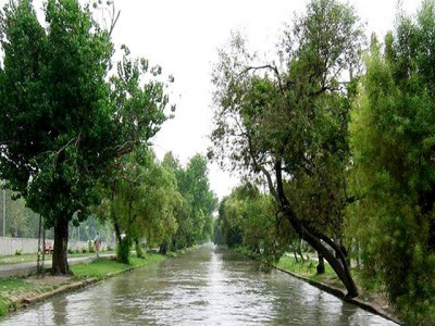 trees planted at governor house in k p trees planted at governor house in k p