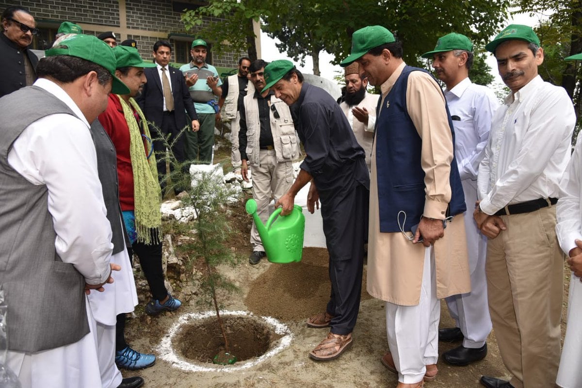 pm imran khan at a plantation drive photo pti