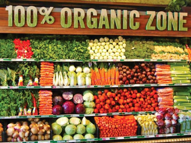 sewani examined the business of fruit and vegetable sale and prepared a strategy to modernise this business photo file sewani examined the business of fruit and vegetable sale and prepared a strategy to modernise this business photo file