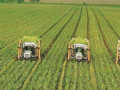 investors turn focus to pakistan s agriculture sector investors turn focus to pakistan s agriculture sector