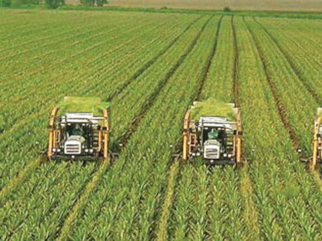 economic zone should be set up in multan to attract investment in dairy food production photo file economic zone should be set up in multan to attract investment in dairy food production photo file