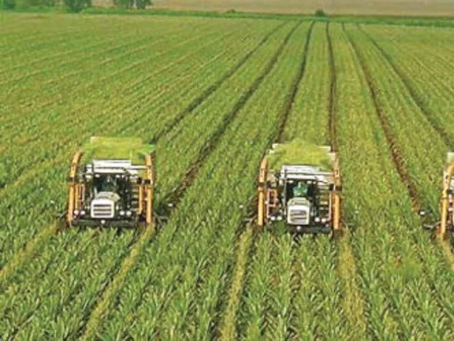 economic zone should be set up in multan to attract investment in dairy food production photo file economic zone should be set up in multan to attract investment in dairy food production photo file
