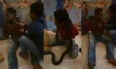 watch police use snake during interrogation in indonesia