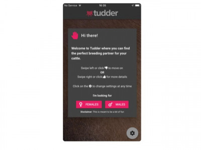 tinder for cows tries to help the farming market