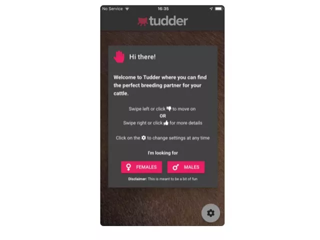 farmers can view pictures share details of their age location and get to know the owner as well photo tudder apple app store farmers can view pictures share details of their age location and get to know the owner as well photo tudder apple app store