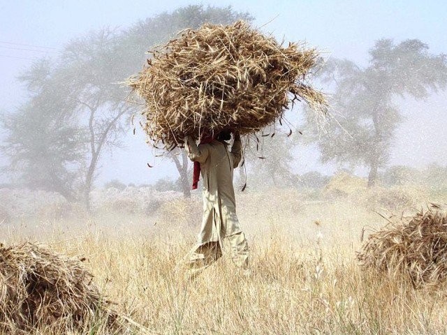 farming community says policies are made in favour of only some crops photo file