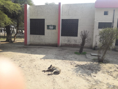 patients frustrated by lack of facilities at mubarakpur rhc