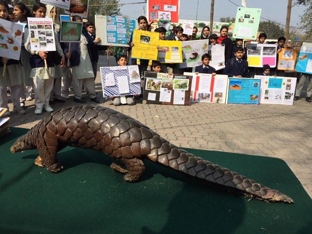 schoolchildren take part in awareness campaign about the life of these anteating mammals photo express