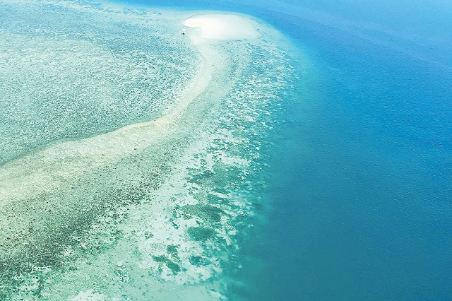 a picture of the great barrier reef photo for illustrative purposes photo afp