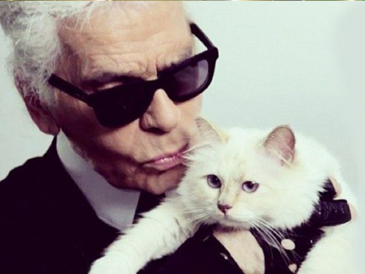 karl lagerfeld s cat could inherit his 200 million fortune karl lagerfeld s cat could inherit his 200 million fortune