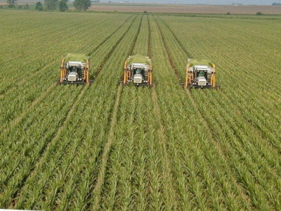 with focus on modern methods punjab unveils agri policy